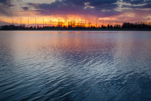 Down she goes, Upper Gray Pond, Strathmore, AB, 2024-05-03
