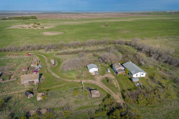Morning Flyover 02, Sunnyridge Farm, Kirriemuir, Alberta, 2024-05-19