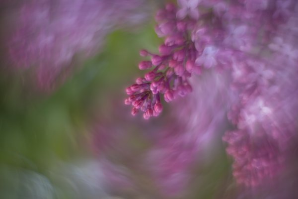 Upsidedown take, Lambert Park, Strathmore, AB, 2024-05-27