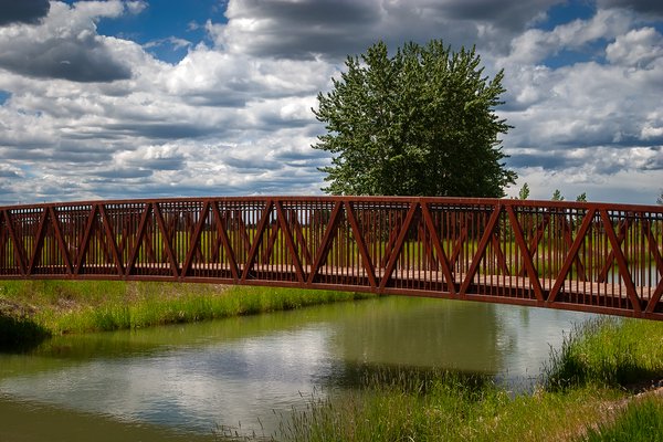 Nice day for a walk, Tom Sadler Bridge, Strathmore, AB, 2024-06-12