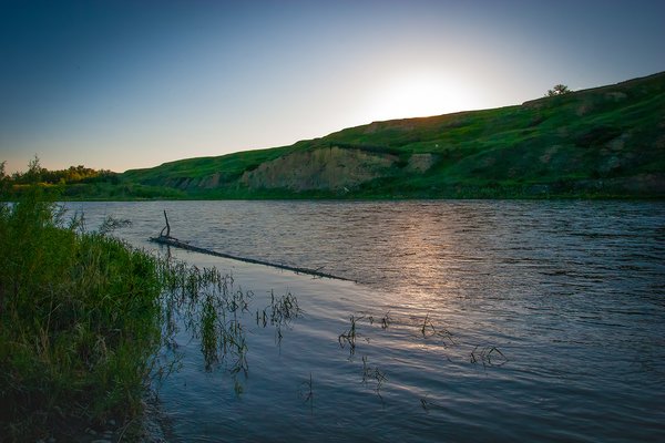 Into the sun, Bow River, Wyndham Carseland Park, AB, 2024-06-12