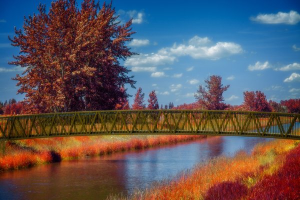 Rainbow Bridge, False Colour Faux Infrared, Strathmore, AB, 2024-06-13