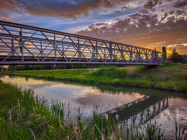 The abridged version, Lion's Park, Strathmore, AB, 2024-06-14