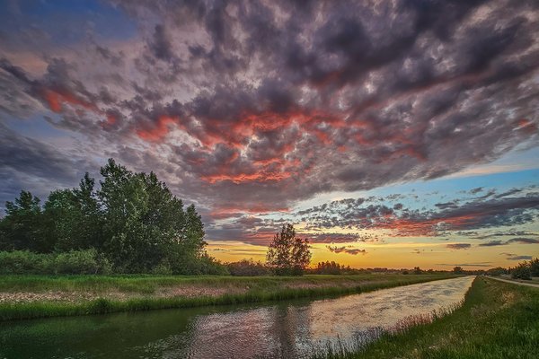 Canoodling by the canal, Thomas Drive, Strathmore, AB, 2024-06-14