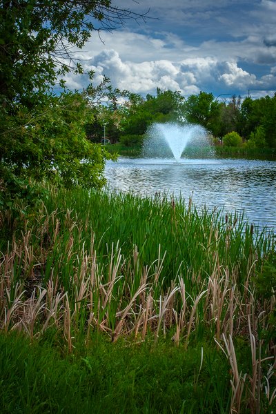 Sideways glance, Kinsmen Park, Strathmore, AB, 2024-06-17