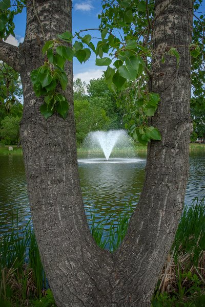 Peek-a-boo, Kinsmen Park, Strathmore, AB, 2024-06-17