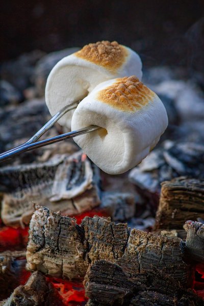 Marshmallow 03, My Backyard, Strathmore, AB, 2024-06-21