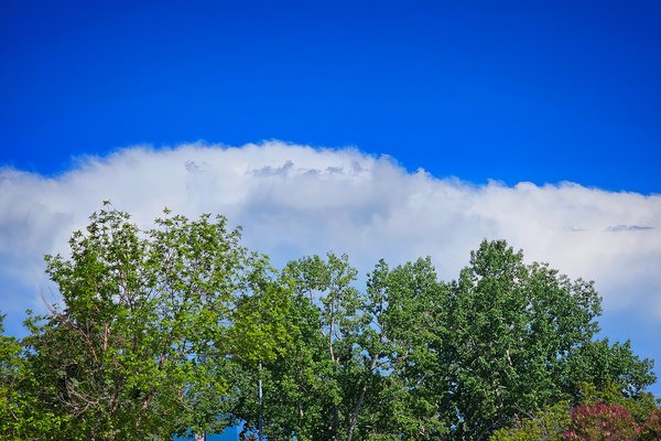 Those summer colours, Red Deer, AB, 2024-06-20