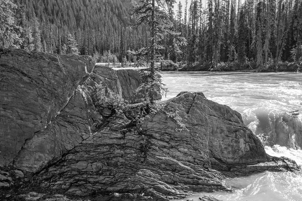 Falling for you, Natural Land Bridge, Yoho National Park, BC, 2024-07-11
