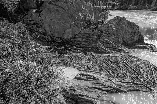 Logjam, Natural Land Bridge, Yoho National Park, BC, 2024-07-11