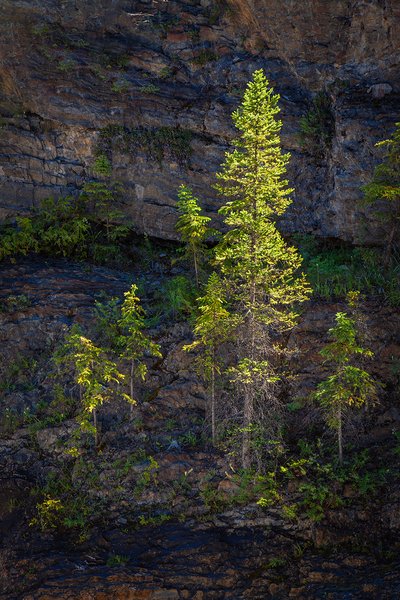 The light of your life, Natural Land Bridge, Yoho National Park, BC, 2024-07-11