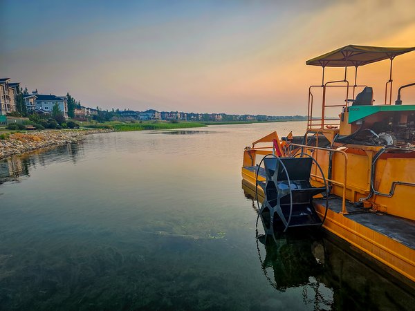S.S. Weedwhacker, Chestermere Lake, Chestermere, AB, 2024-07-23