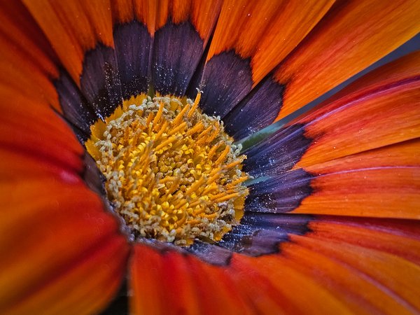 Got my eye on you, My Front Yard, Strathmore, AB, 2024-07-21