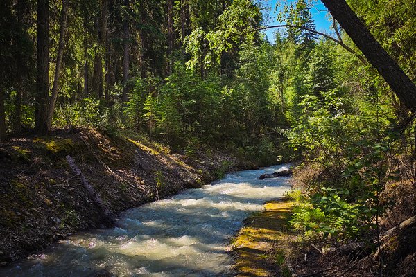 A river runs through it 02, Finn Creek, BC, 2024-07-11
