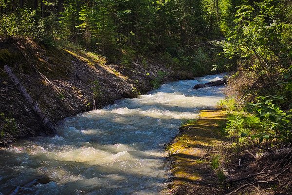 A river runs through it 01, Finn Creek, BC, 2024-07-11