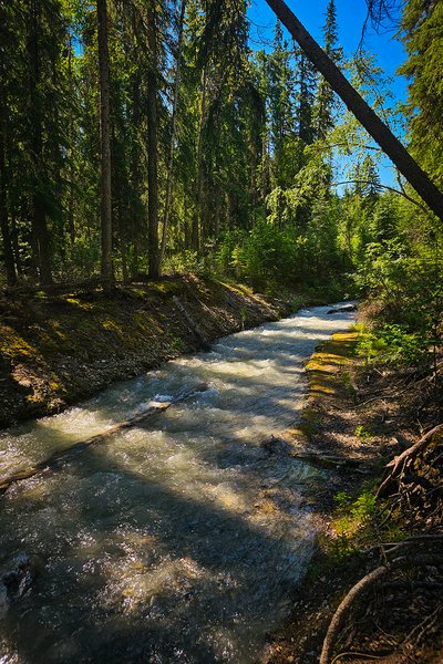 A river runs through it 04, Finn Creek, BC, 2024-07-11