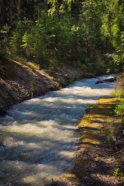 A river runs through it 03, Finn Creek, BC, 2024-07-11