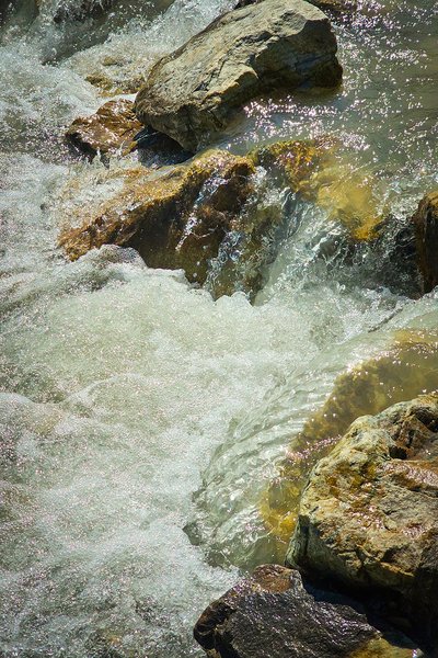 Hook me up to the flow, Finn Creek, BC, 2024-07-11