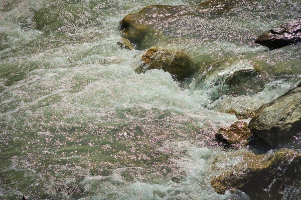 The churn, Finn Creek, BC, 2024-07-11