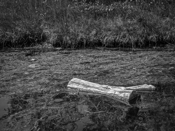 Bad neighbourhood, Carburn Park, Calgary, AB, 2024-07-28
