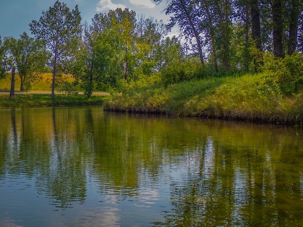 In the green, Carburn Park, Calgary, AB, 2024-07-28