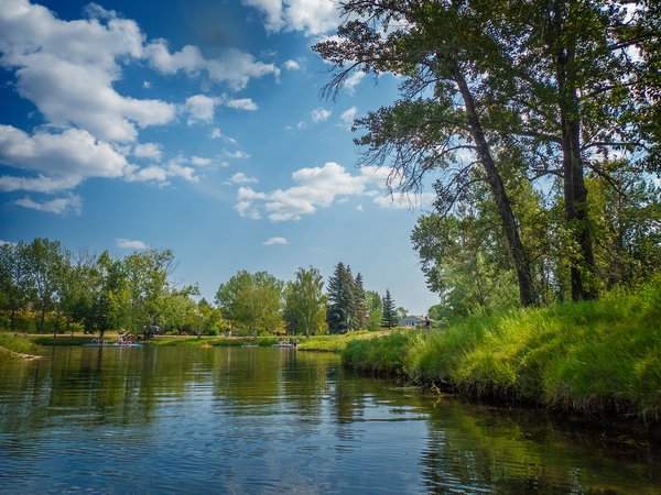 Looking toward the docks, Carburn Park, Calgary, AB, 2024-07-28