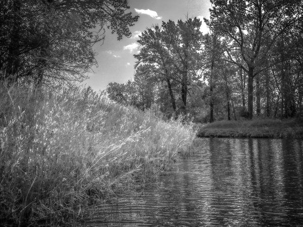 Daily special, Carburn Park, Calgary, AB, 2024-07-28