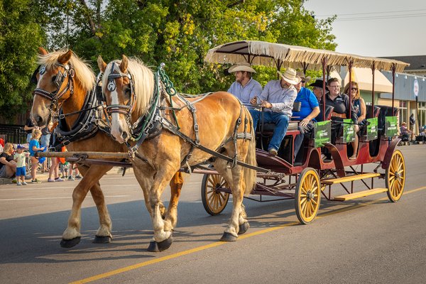 Town Councilors Wagon Wide View, Stampede Parade, Strathmore, AB, 2024-08-03