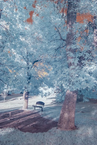 Please be seated, Infrared, Lambert Park, Strathmore, AB, 2024-08-09