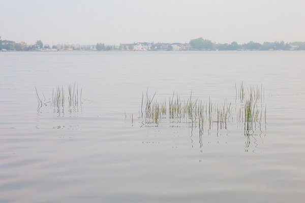 And that's when the smoke got me, Chestermere Lake, Chestermere, AB, 2024-08-16