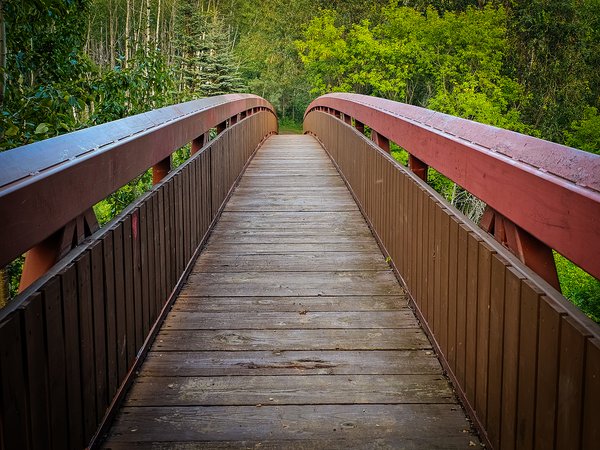 Dat bridge again, Pioneer walking trail, Barrhead, AB, 2024-08-17