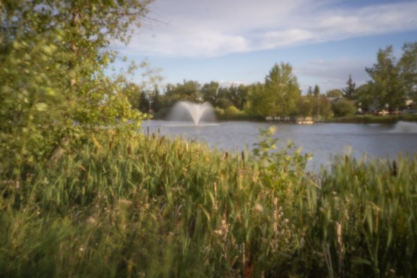 Flora and fountain, Pinhole, Kinsmen Park, Strathmore, AB, 2024-08-21