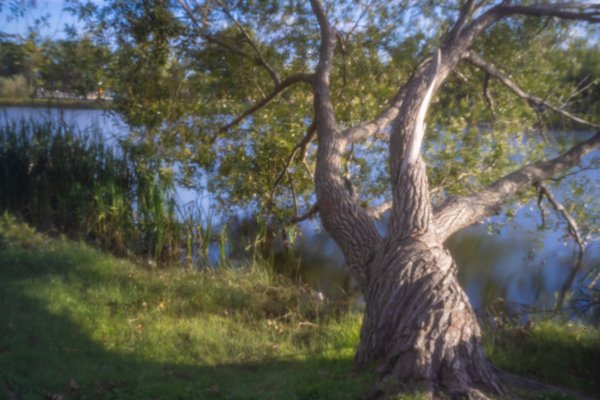 Let's twist again, Pinhole, Kinsmen Park, Strathmore, AB, 2024-08-21