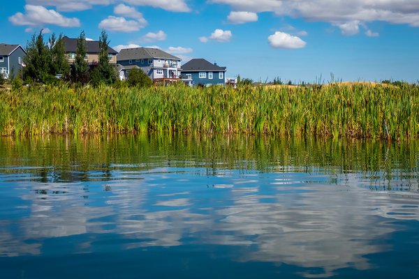 Picturesque, Chestermere Lake, Chestermere, AB, 2024-08-25