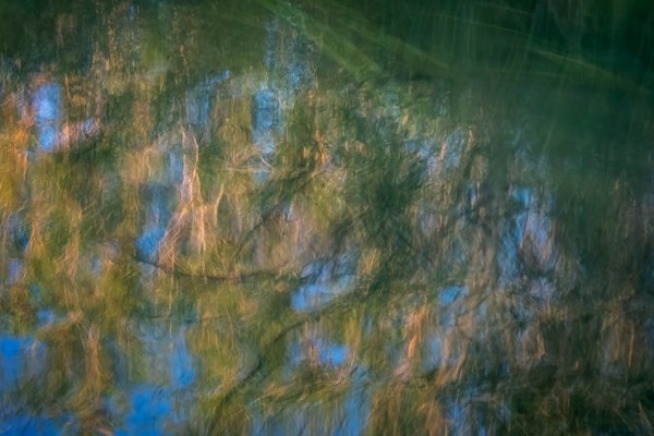 Reflected vegetation, Chestermere Lake, Chestermere, AB, 2024-08-29