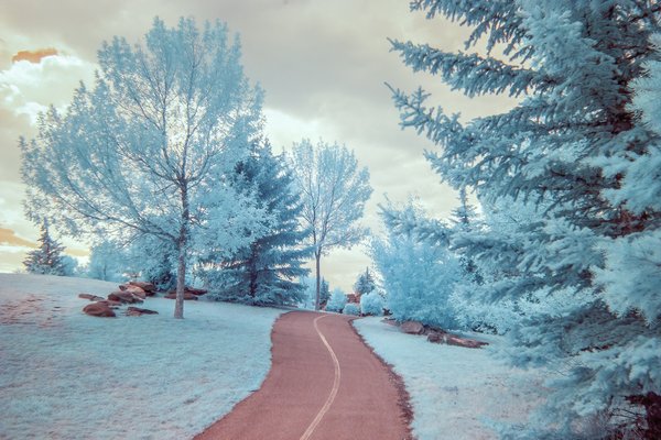 Up through the middle, Strathmore, AB, 2024-07-30