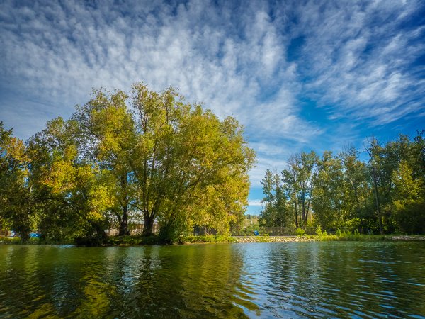 Going for gold, Bowness Park, Calgary, AB, 2024-09-01