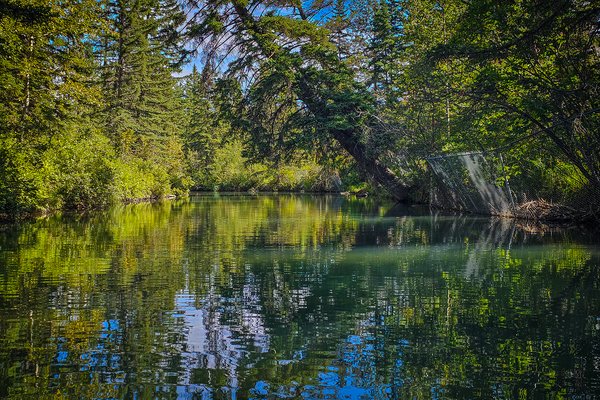 Around the bend, Bowness Park, Calgary, AB, 2024-09-01