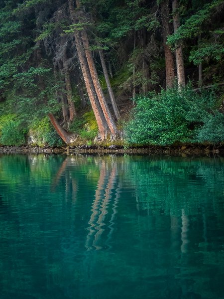 Pause to Reflect, Two Jack Lake, Banff National Park, Alberta, 2024-09-02