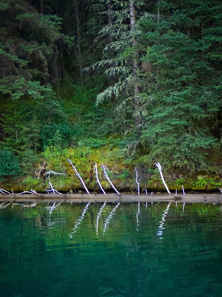 I Can See Your Ribs, Two Jack Lake, Banff National Park, Alberta, 2024-09-02
