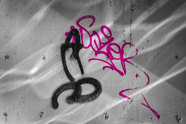 Why is there always a penis, Bowness Park, Calgary, AB, 2024-09-01