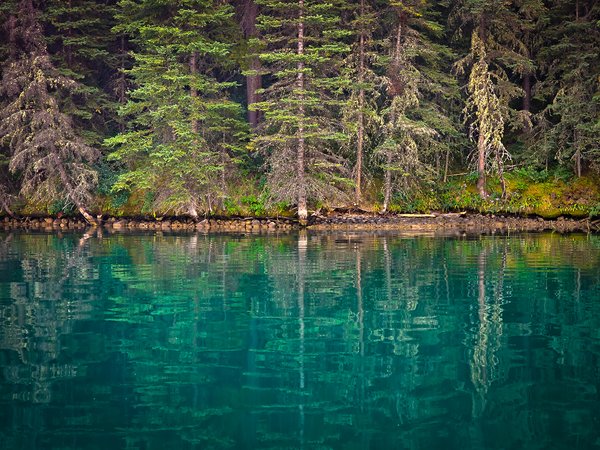 Things that Make You Hate Where You Live, Two Jack Lake, Banff National Park, Alberta, 2024-09-02