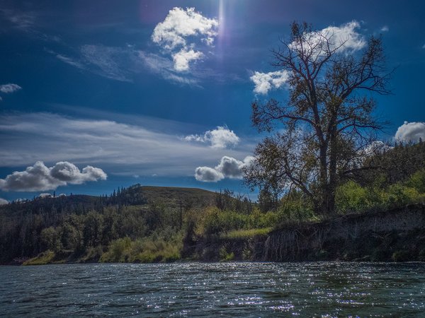 The sun beats down, McKinnon Flats to Johnson's Island, Bow River Float, 2024-09-15