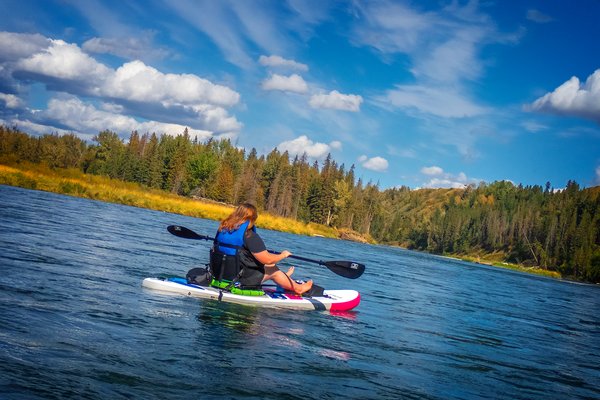 Repeat offender, McKinnon Flats to Johnson's Island, Bow River Float, 2024-09-15