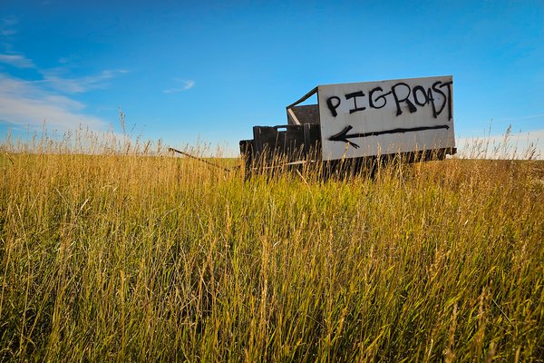 Pig roast, Near Carseland, AB,, 2024-09-15