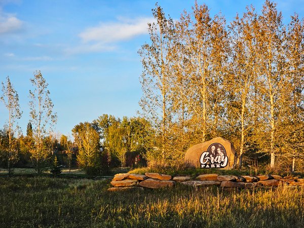 Signs of fall, Gray Park, Strathmore, AB, 2024-09-20