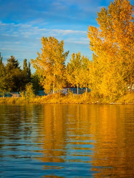 Fall reflected 01, Chestermere Lake, Chestermere, AB, 2024-09-24