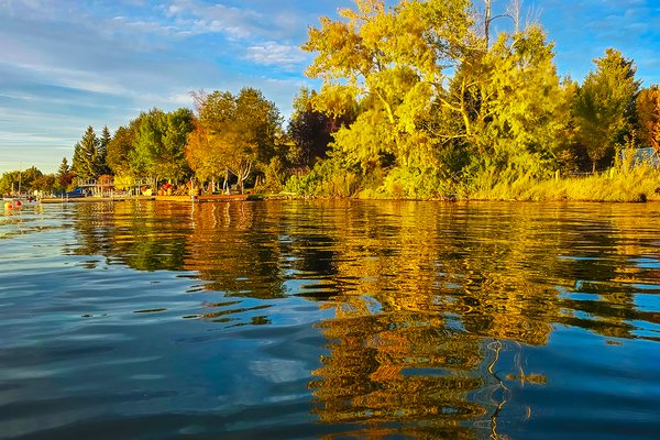 Going for gold, Chestermere Lake, Chestermere, AB, 2024-09-24