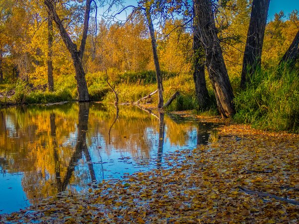 We were just leaving, Fish Creek Park, Bow River Float, Calgary, AB, 2024-09-25