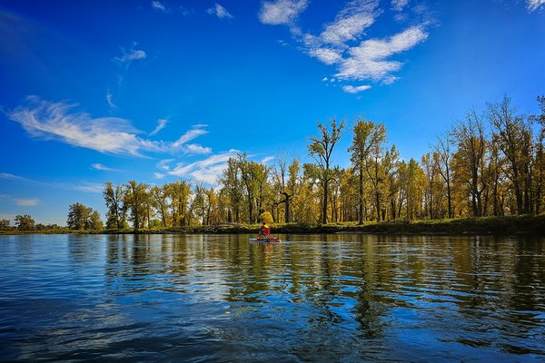 Alex in front of fall foliage, Bow River Float, Calgary, AB, 2024-09-25